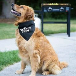 Pet Bandana - Blackstone Cleanup Crew