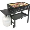 Blackstone 28" 2-Burner Propane Gas Griddle Cooking Station